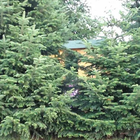 Homestay szállás Natura